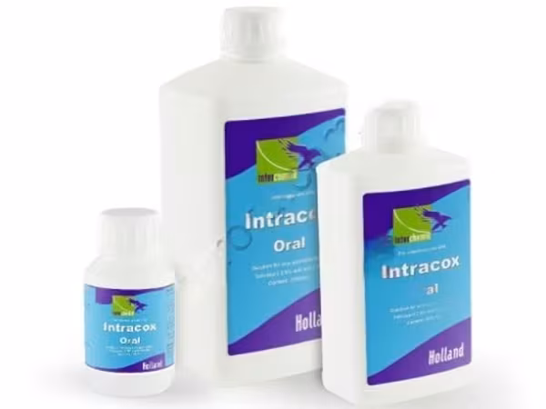 Intracox Oral Толтразурил 2,5% / Лечение кокцидиоза у кур и индеек