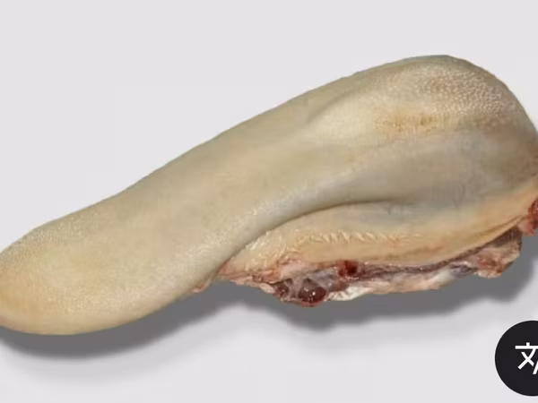 Язык