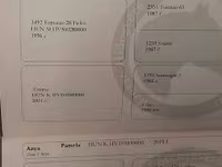 Stute, Pferde — Foto 4