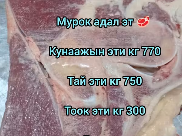 Халал мясо “Мурок” (Бишкек) - Говядина/телятина: конина? На фото