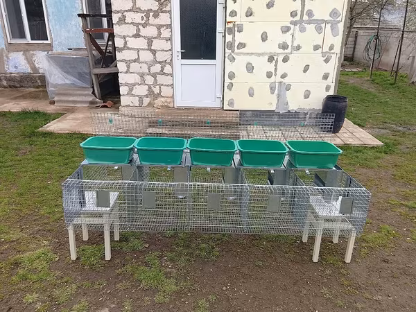 Cuști pentru iepuri клетка для кроликов