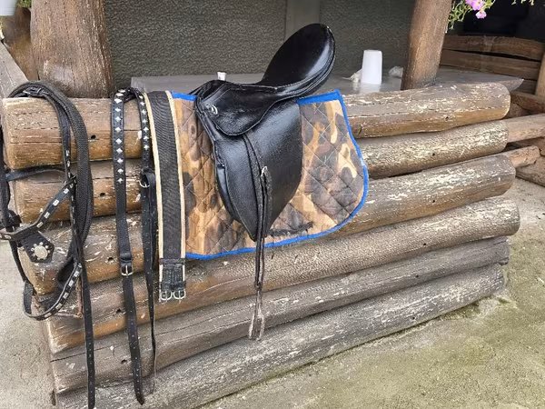 公马, Horses — 摩尔多瓦