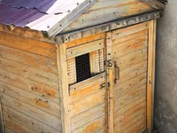 Taxta göyərçin yuvası/kümesi - Material: qalın taxta karkas, iç və — sawirka 1