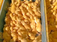 Ducks — foto 3