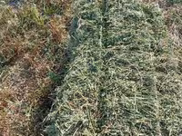 Продаются тюки клевера, плотные 25кг+ 3й укос Поле находится в селе — foto 3