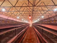 Продаю или меняю клетки для кур несушек на 5280 мест — zdjęcie 1