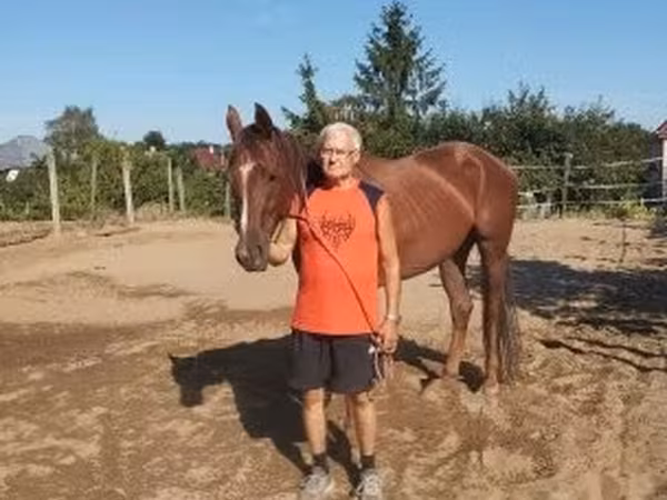 Mare, Thoroughbred horse — Hungary