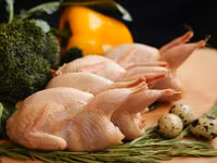 Prepelite de casa carne proaspata si sanatoasa — picha 1