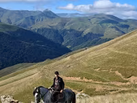 اسب نر, Azerbaijan horse — عکس 3