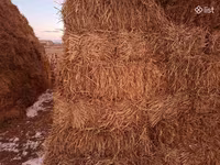Ցորենի սալոմ 1,10 1,20 տուկեր — عکس 2