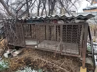 Металлические клетки/вольеры для хозяйственных животных или птицы — foto 1