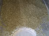Granule7,50lei, pentru iepuri calitate superioară, Orhei — 3-rasm