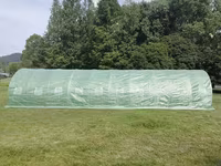 Sera Tip Tunel 10X3X2 M - 5s - livrare / credit / agroteh — լուսանկար 3