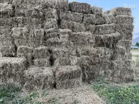 Խոտի տուկ բարձր որակի — Foto 5