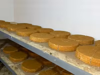 Пчелиные медовики (канди) в форме круглых дисков, предварительно — 4-rasm