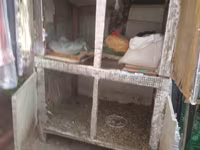HAZİR BİZNES . guş saxlamg ucun dam. 2- ki mertebeden ibaret dir — foto 5