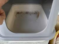 Qapalı pişik tualeti (süzgəcli sistem) Çox az işlənib - Tip: qapalı — fotografija 1