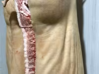 Vind carne de porc carcasa cu livrare — foto 1