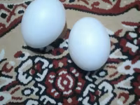 Damazlıq, Pulsuz çatdırılma, Ünvandan götürmə, Ödənişli çatdırılma — 写真 2