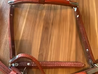 اسب نر, Thoroughbred horse — عکس 2