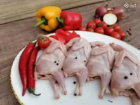 Լորի միս (թարմ և սառեցված) — รูปภาพ 5
