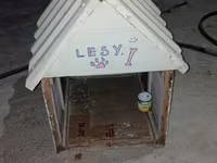 İt evi (künc damlı) - Material: taxta karkas, üstü rənglənmiş — fotografija 1