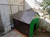 Böyük ölçülü it evi - Material: möhkəm taxta karkas, üstü — รูปภาพ 1