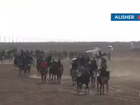 Konji (partija, pol nije naveden), Коњи — fotografija 4