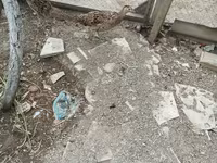 آسترالورپ — عکس 8