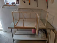 Papuqay,dovşan,hamster,şinşila,bildirçin,cücə,xamyak,pişik,quş,tısbağa — foto 5