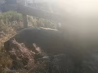 Хуц, Хонь — 5 зураг