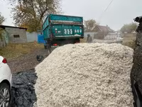 Жом свекловичный (кормовой) — свежий, рассыпной ЖОМ жом жом жом ЖОМ — 사진 2