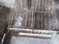 Բլուդեր, ինկուբատոր, բույն փոքր, բոլորը միասին — عکس 1