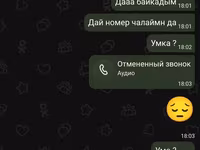 Продаю кастрат от клевера чистый Кастра без колючие и лишних трав — zdjęcie 4