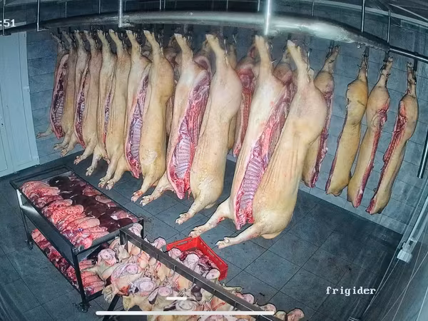 Propunem spre vânzare carne de porc proaspătă și deosebit de delicioasă.