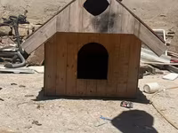 Taxta it evi altida var balaca itler ucun - Material: qalın taxta — عکس 1