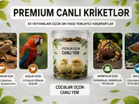 Məhsul: Canlı kriketlər – sürünənlər və quşlar üçün premium yem — fotografija 5