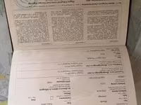 مادیان, اسب — عکس 5