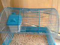 Kiçik heyvan qəfəsi – hamster, siçan və ya digər gəmiricilər üçün. - — foto 1