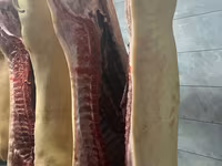 Propunem spre vânzare carne de porc proaspătă și deosebit de delicioasă. — foto 2
