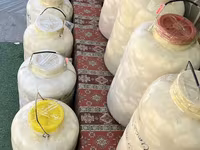 Ordubad keçi pendiri - Naxçıvanın Ordubad bölgəsinə məxsus ənənəvi — foto 2