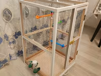 Papuqay,dovşan,hamster,şinşila,bildirçin,cücə,xamyak,pişik,quş,tısbağa — عکس 5