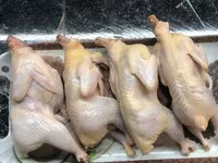 Quails — 3 зураг