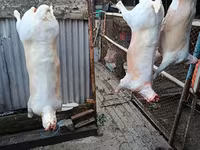 Продам мясо — foto 3