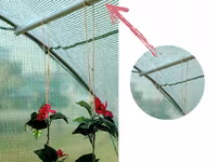 Sera Tip Tunel 3X3X2 M - d0 - livrare/achitare in 4rate/agrotop — foto 3