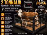 Chorva mol tarozi 2 tonnalik — புகைப்படம் 1