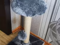 Pişik üçün latok,yem qabı,pufik — foto 1