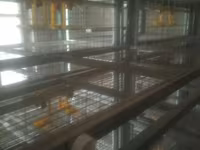Sənaye tipli quşçuluq qəfəs sistemi - Material: sinklənmiş metal — عکس 4