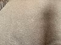 Шрот рапсовый — foto 3