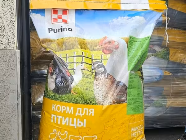 Broyler ve hiduska yemi
rusiya istehsali. PURINA